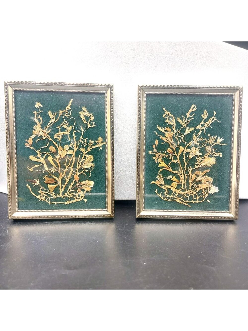 Vintage Pressed Dried Flower Frame Art Pair Green Velvet Gold Metal Floral Decor